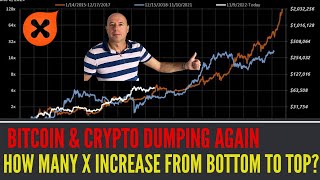 Altcoins Dumping Hard How Many X From Bottom to Top Bitcoin Will DO in This Cycle [upl. by Sullivan]