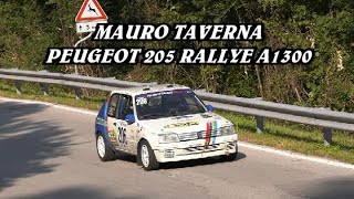 SALITA ALPE DEL NEVEGAL 2024  MAURO TAVERNA  PEUGEOT 205 RALLYE A1300  VIDEO BELLUNOVIDEO [upl. by Sontag483]