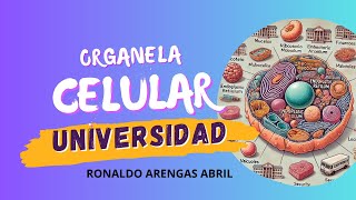 Organelo Celular amp comparación con una Universidad  Ronaldo Abril UNAD [upl. by Eimme]