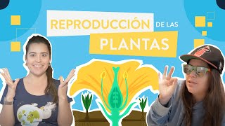 La reproducción de las plantas [upl. by Jacques]