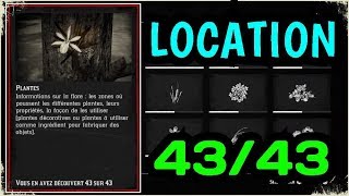 Red Dead Redemption 2  ENCYCLOPÉDIE PLANTES 4343 EMPLACEMENT Guide et soluce [upl. by Mccready874]