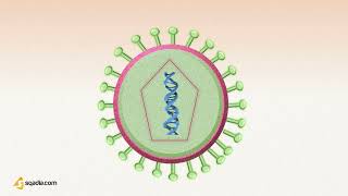 Virology quick clip [upl. by Eulaliah]