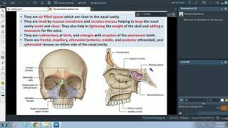 Anatomy of the Paranasal sinuses  Dr Ahmed Farid [upl. by Inaliak]