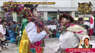 Picaflor de los Andes  Hunay Carnaval [upl. by Espy390]