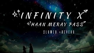 INFINITY X Haan Meray Pass Tum Raho Slowed Reverb  Mashup [upl. by Aihsinat]