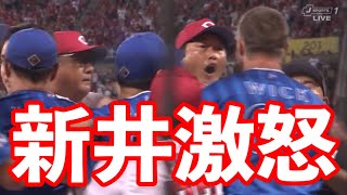 普段穏やかな新井貴浩監督が怒っている！秋山に死球で乱闘騒ぎに！両チームに警告が与えられる [upl. by Cynthy76]