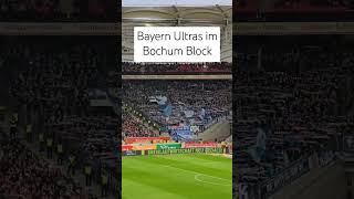 VfB Stuttgart vs VFL Bochum Auswärtsblock Bayern Fans🤔 vflbochum bochum VfB vfbstuttgart [upl. by Etna]