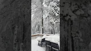 New Winter in the Poconos nature  kyras birthday [upl. by Assenna421]