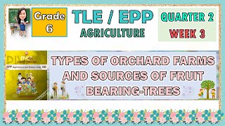 TLE 6 AGRICULTURE QUARTER 2 WEEK 3  TYPES OF ORCHARD FARMS AND SOURCES OF FRUIT BEARINGTREES [upl. by Alyose]