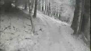 Glentress and Kielder singletrack [upl. by Columba411]