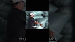 椰子殼的妙用多！將其纖維制成繩子再做成墊子，太神奇了！ 制造过程 金属挤压 铝瓶 墨壶 螺旋桨 [upl. by Glantz849]