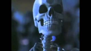 Spooky Scary SkeletonsUnofficial Music Video [upl. by Jobe]