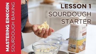 Einkorn Sourdough Starter  Mastering Einkorn Sourdough Baking  Lesson 1 [upl. by Corkhill]