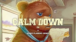 CALM DOWN  heisrema ✘ RUBIO PLANERO CUMBIA REMIX [upl. by Gershom]