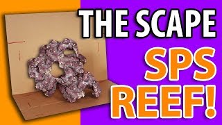 SPS Reef Build  Rock Aquascape [upl. by Porett156]