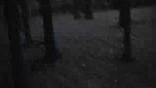 DISTURBING FOOTAGE  unknown creature attack [upl. by Sadella]