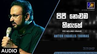 Pipi Neluma Hinahe  Anton Charles Thomas  Official Audio  MEntertainments [upl. by Acinnor209]