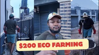 200 Eco Farming in my Compound Abuja Nigeria [upl. by Daney]