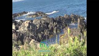 Ogunquit Maine Seashore [upl. by Goodyear]