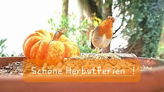 Schöne Herbstferien [upl. by Niveek]