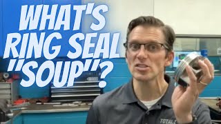 What Is Ring Seal Soup [upl. by Hudson475]