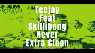 Teejay  Never feat Skillibeng Extra Clean Verson [upl. by Azilem215]