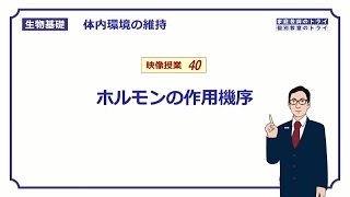 【生物基礎】 体内環境の維持40 ホルモンの作用機序（１３分） [upl. by Ateuqahs269]