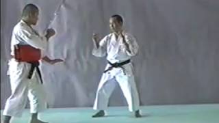 Shorinji Kempo Waza  GYAKU TEN SHIN GERI [upl. by Cherida761]