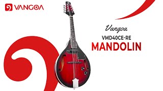 Vangoa VMD40CERE A Style Acoustic Electric Mandolin Overview [upl. by Card]