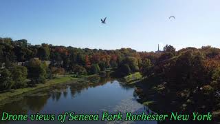 Drone Views of Seneca Park Rochester NY [upl. by Tur]