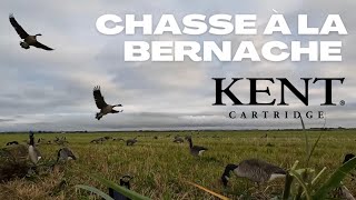 Chasse à l’outarde en tombeau présaison Goose hunt [upl. by Cutlor962]