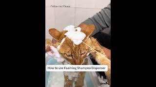 How to use foaming shampoo dispensercat clean pets dogsoftiktok kitten kitty petoftiktok [upl. by Robison]