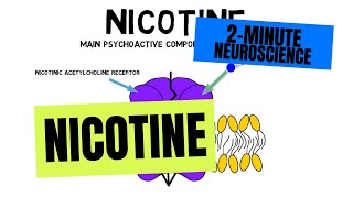 Cholinergic Drugs Part 02  Muscarinic amp Nicotinic Receptors  Cholinergic Receptors  Cholinergic [upl. by Ellehs]