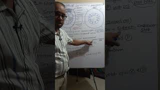 ANATOMY OF DICOT AND MONOCOT ROOT [upl. by Eisserc275]