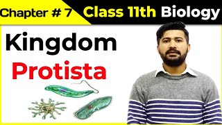 71 Kingdom protista  Kingdom protoctista  Fsc Biology lectures series by irtisamsbiology [upl. by Littman]