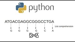 Python 3 bioinformatics working on codon positions in DNA sequences [upl. by Marrilee]