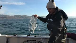 Scenic Crabbing Adventure In Bodega Bay 2024  Picture Perfect Day [upl. by Naillimixam]