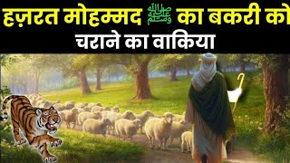 हज़रत मोहम्मद का बकरियों को चराने का वाकिया  नबी के बचपन का मोजिज़ा  islamicJawedh8k [upl. by Schertz]