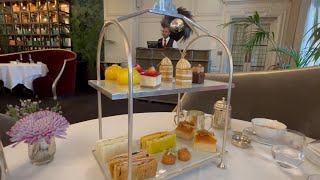 Afternoon Tea at Harrods London  indulge in the best and the sweetest [upl. by Sukin]