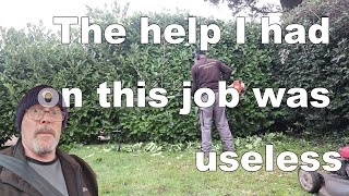 large hedge cutting part 2 [upl. by Ardolino]