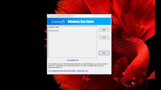 Windows Product Key Finder [upl. by Ahselaf23]