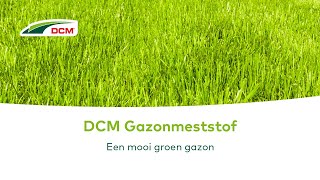 Een mooi groen gazon  DCM Gazonmeststof [upl. by Aicirtan97]