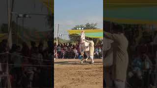 214ram ram Horse dance rajsthani tarndig marwadihorse indianhorse festival [upl. by Oilasor]