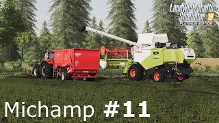 LS19  FS19 Timelapse Michamp 11  Seasons  Vermehrungsgras Dreschen [upl. by Felic]