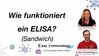 Methoden Wie funktioniert der Sandwich ELISA [upl. by Kerr]