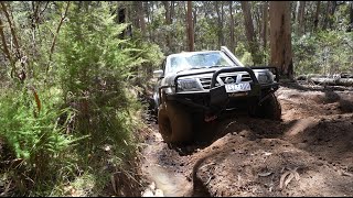 Carnage in Tallarook  TB48 vs 65L Turbo Diesel [upl. by Casteel]