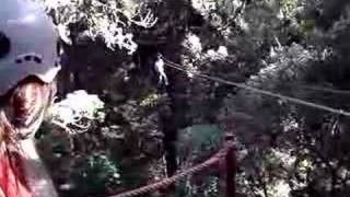 Tree Top Canopy Tour in Knysna [upl. by Dugan]