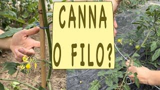 LEGARE POMODORI  canna o filo [upl. by Mak]