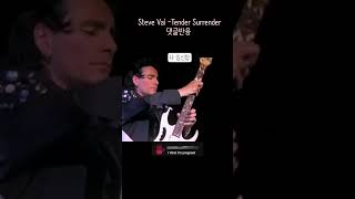 Steve Vai  quotTender Surrenderquot 스티브 바이 댓글모음 [upl. by Colwen]