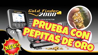 GOLD FINDER 2000  Prueba en Terreno con PEPITAS DE ORO [upl. by Airdnna]